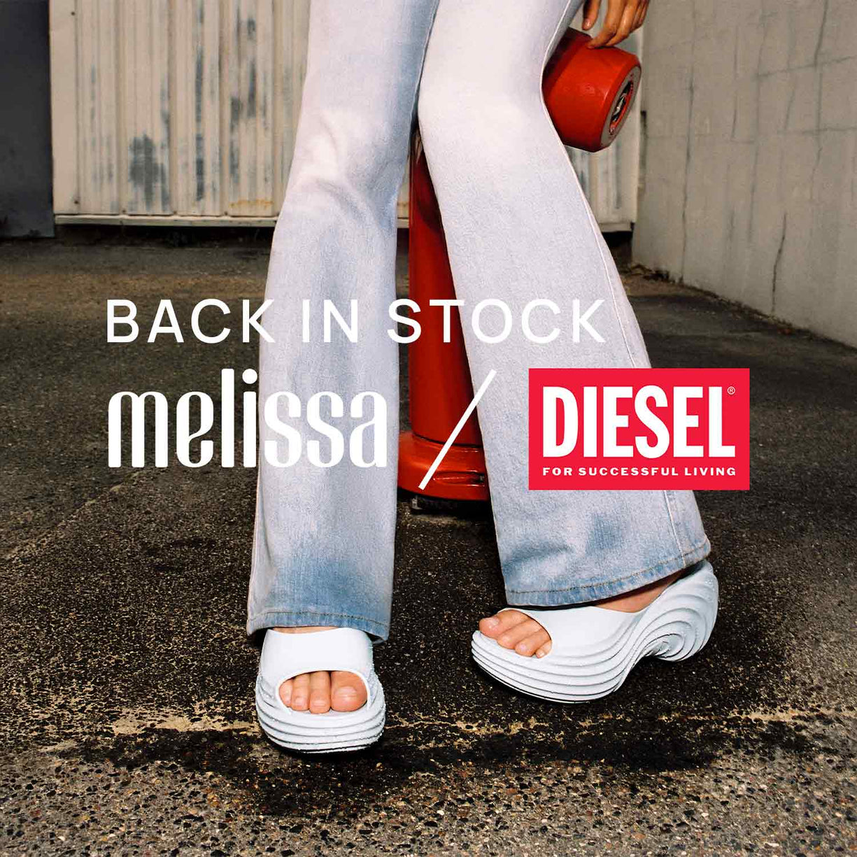 New In Melissa Shoes new-in-melissa-shoes